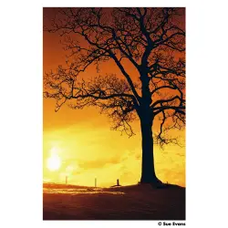 Harman Red 125 135/36