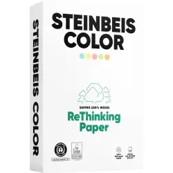Steinbeis Magic Colour zielony Recyclingpapier A 4 80 g 500 Bl.