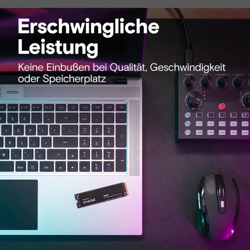 Crucial P510 Gen5 2280       2TB NVMe PCIe M.2 SSD