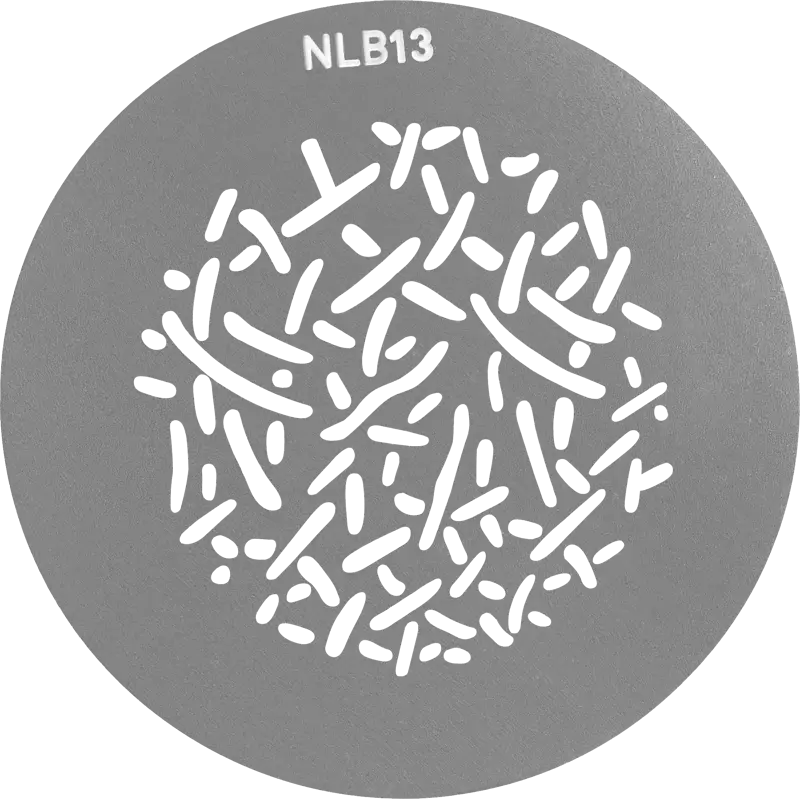 Nanlite GOBO Set 1 for PJ-BM