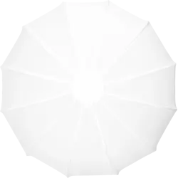 Zhiyun Softbox Lantern 85cm (Bowens Mount)