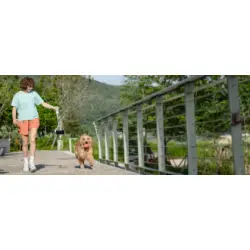 Gimbal ręczny FeiyuTech Vimble 4 do smartfonów