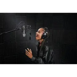 Rode NT1 Signature Black