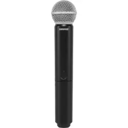 Shure BLX24E/PG58-M17