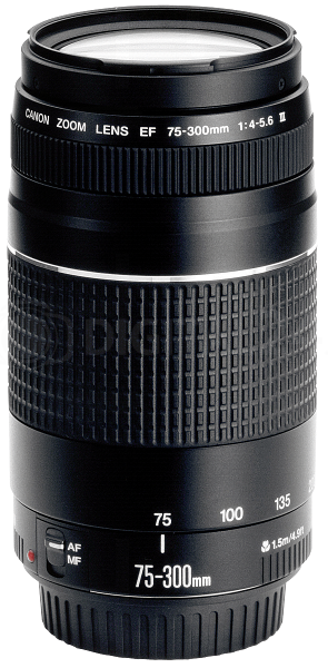 Obiektyw Canon EF DC 75-300 mm f/4.0-5.6 III