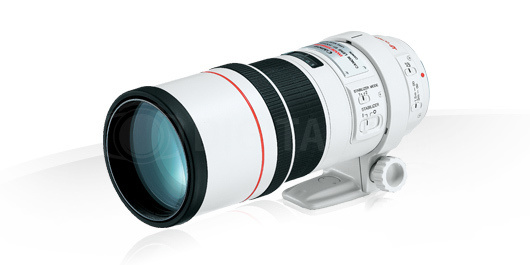 Obiektyw Canon EF 300mm f/4L IS USM