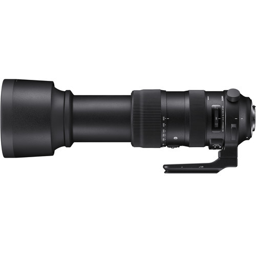 Sigma 60-600mm DG DN Sports Nikon