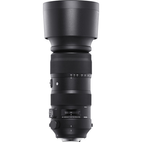 Sigma 60-600mm DG DN Sports Nikon