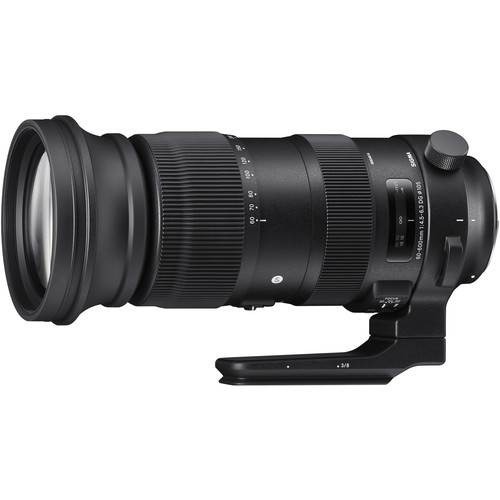 Sigma 60-600mm DG DN Sports Nikon